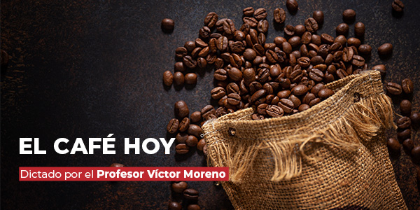 El café hoy