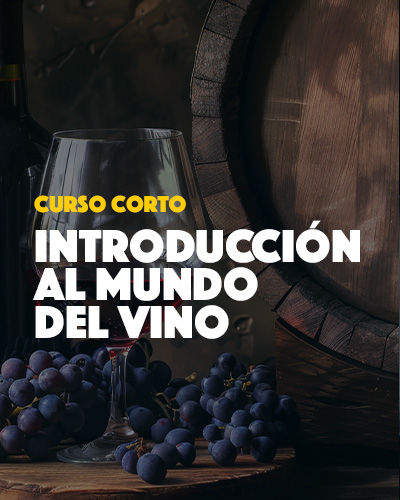 Mundo del Vino